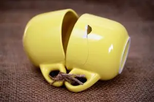 L'hypnose permet de reprogrammer l'inconscient pour un mieux être