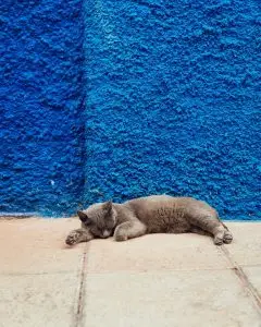 bien dormir grâce à l'hypnose