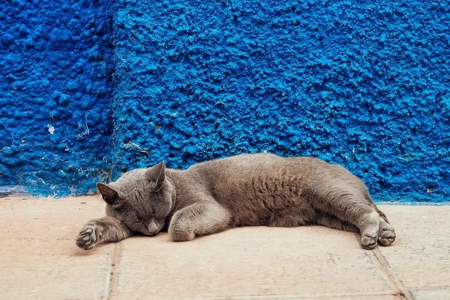Mieux dormir hypnose